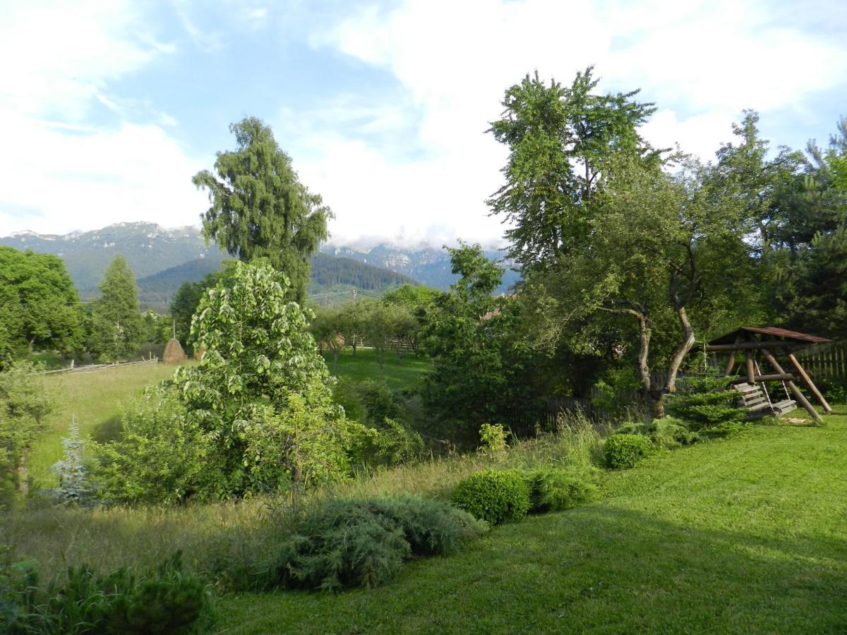Cabana Festung Bran  Zewnętrze zdjęcie