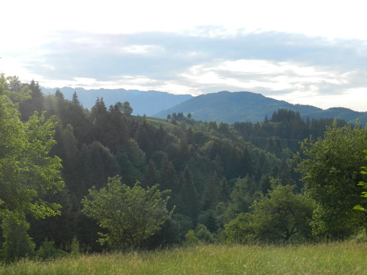 Cabana Festung Bran  Zewnętrze zdjęcie