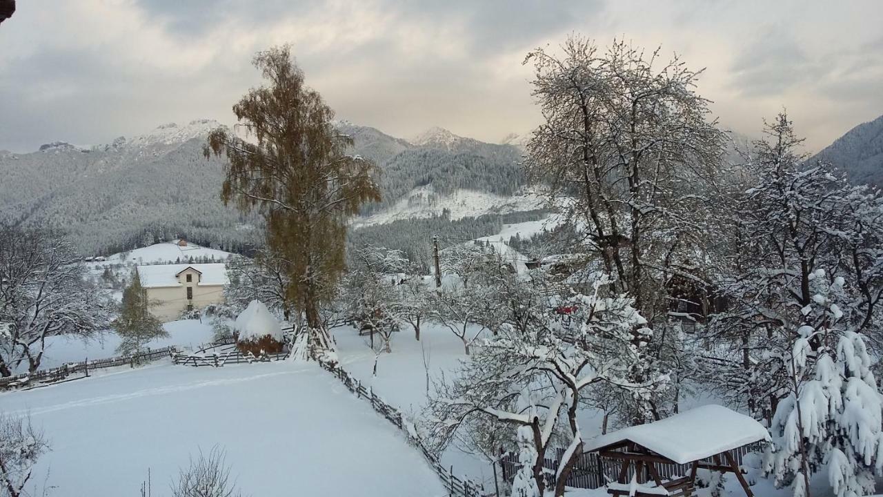 Cabana Festung Bran  Zewnętrze zdjęcie