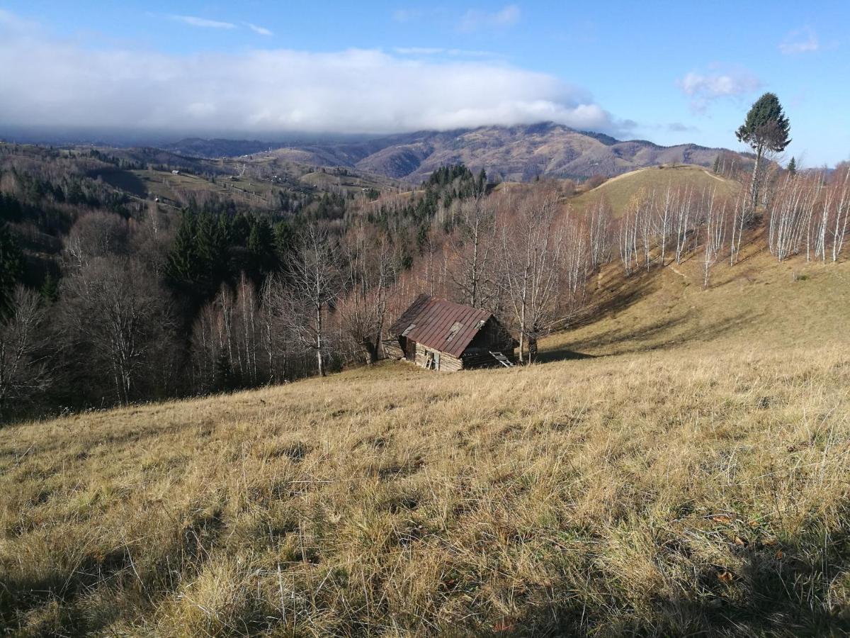 Cabana Festung Bran  Zewnętrze zdjęcie